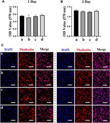 Modulatory Role of Silver Nanoparticles and Mesenchymal Stem Cell–Derived Exosome-Modified Barrier Membrane on Macrophages and Osteogenesis